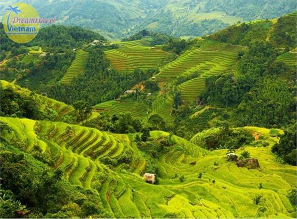 Vòng Cung Tây Bắc 5N4Đ: Mộc Châu - Điện Biên - Lai Châu - Sapa - Mù Cang Chải Vòng Cung Tây Bắc 5N4Đ: Mộc Châu - Điện Biên - Lai Châu - Sapa - Mù Cang Chải